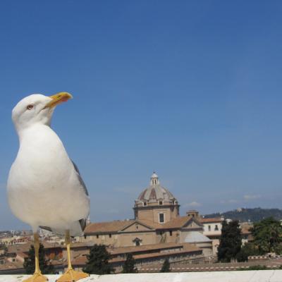 Rom Reise 53